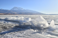 �������������Ӱ