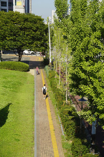 ����ˮԭ�г������е�����