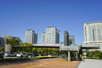 ����ˮԭ�е�·����������