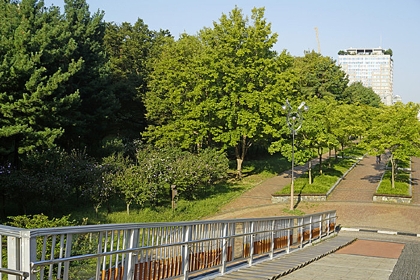 ����ˮԭТ԰��԰���������� 