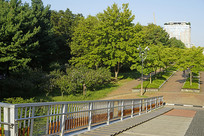 ����ˮԭТ԰��԰���������� 