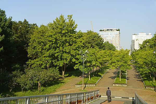 ����ˮԭТ԰-���˵��������� 