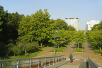 ����ˮԭТ԰-���˵��������� 