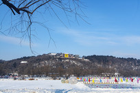 ��ɽҩ����ѩ��