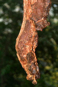 ���ϵ�����ͥ�������Ƶ�����  