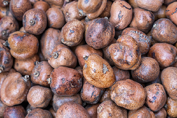 һ�������