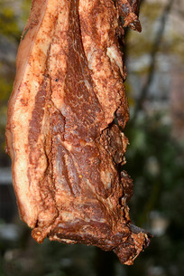 �й���ͥ�������Ƶ����� 