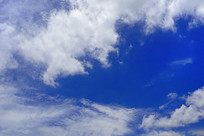 ���������Ʊ���