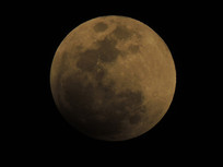 ���µ�����