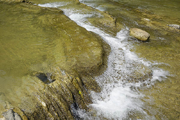 ������С�߿״��ʪ����ˮ�� 