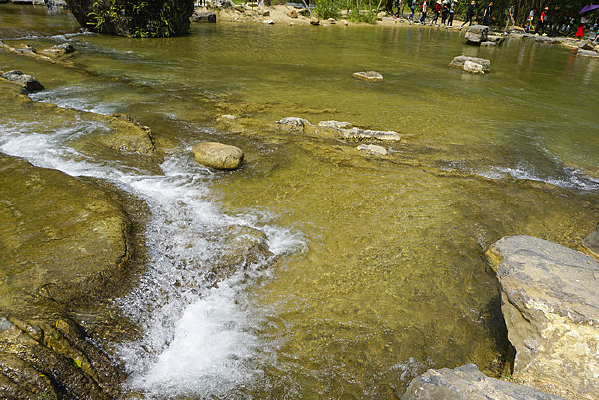 ������С�߿״��ʪ��Ϫ��