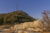 ���ϴ��ͷ�������