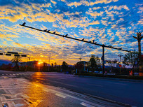 ��··����Ӱ