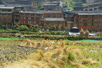 ǧ����կ�ո��ĵ���ݶ� 