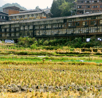 ����ǧ����կ���պ�ĵ��� 