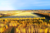 ����ũ����Ұ