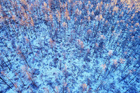 �ֺ�ѩԭ����Ϧ��