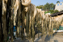 ũ����ɹ��˼ӹ���������