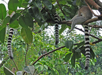 �����㽭Ұ������԰��β����  