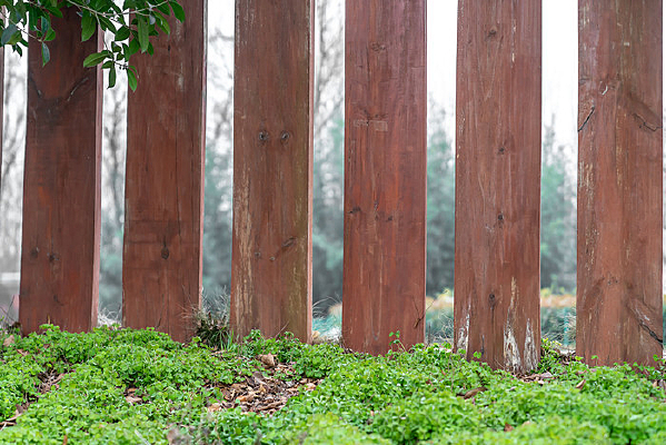 ��԰���ֲ���ƺ