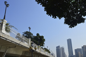 �����µ�����