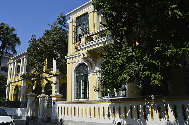 ɳ������ż�