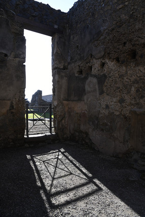 �ӱ��ų�ͶӰ