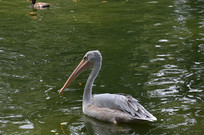 ˮ������