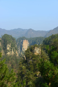 ������ҽ��첨����Ȼ���Ƿ�ǽ 