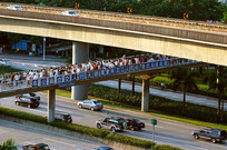 ���ڳ������������������� 