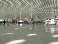 ���ڻ�����Ȼ��ɹ⼰��Ӱ