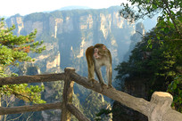 �żҽ�ĺ��� 