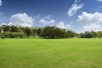 ������ݵ�