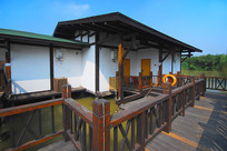 ���ں�����԰�ȼٴ�-ˮ��ľ��