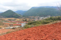 ���Ͻ�ˮ��ũ��ĺ�ɫ����