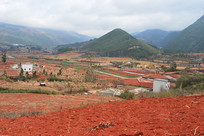 ���Ͻ�ˮ��-ũ����Ұ��ɫ����