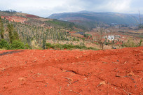 ���Ͻ�ˮ��ũ����Ұ������