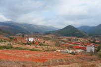 ���Ͻ�ˮ����Ұ���- ��԰������ 