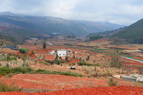 ���Ͻ�ˮ����Ұ������