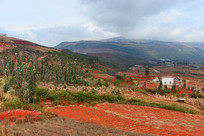 ���Ͻ�ˮ����԰������