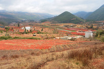 ����ũ����Ұ���-��԰������  