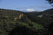 ����������ɽ��