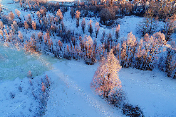 ���˰��붬��ѩԭ��ľ����