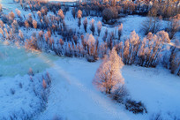 ���˰��붬��ѩԭ��ľ����