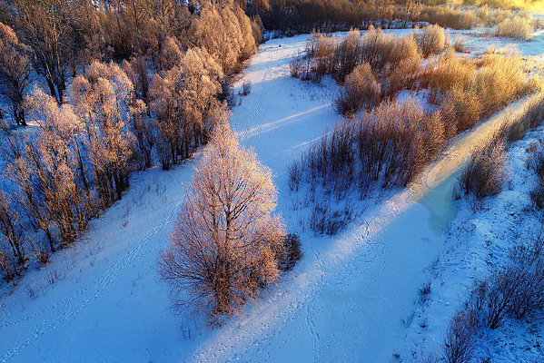 ���˰���ѩԭ���ֳ���