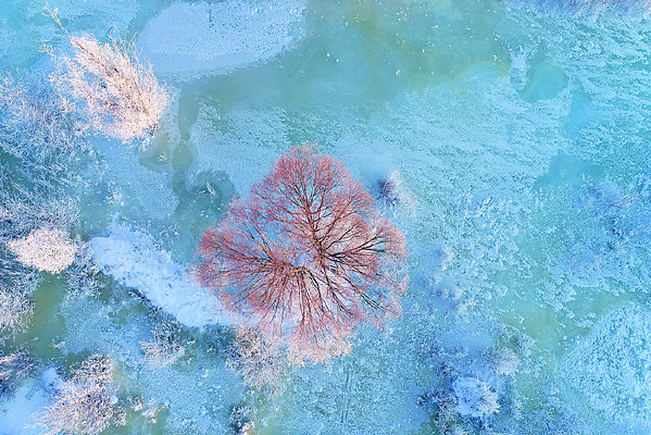 ���ı��Ӻ���