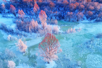 ���ı��Ӻ�����