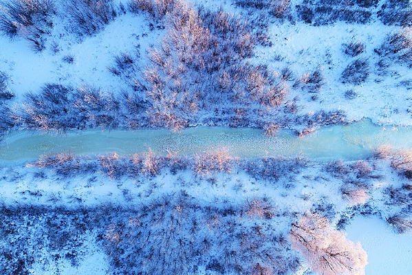 ����ѩ��������ֳ���