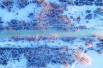 ����ѩ��������ֳ���