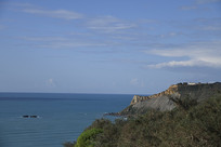 ��ɫ�ĵ��к�